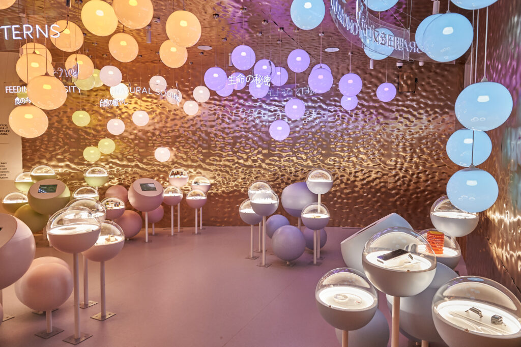 250430 Poland Pavilion Lodzkie7339
