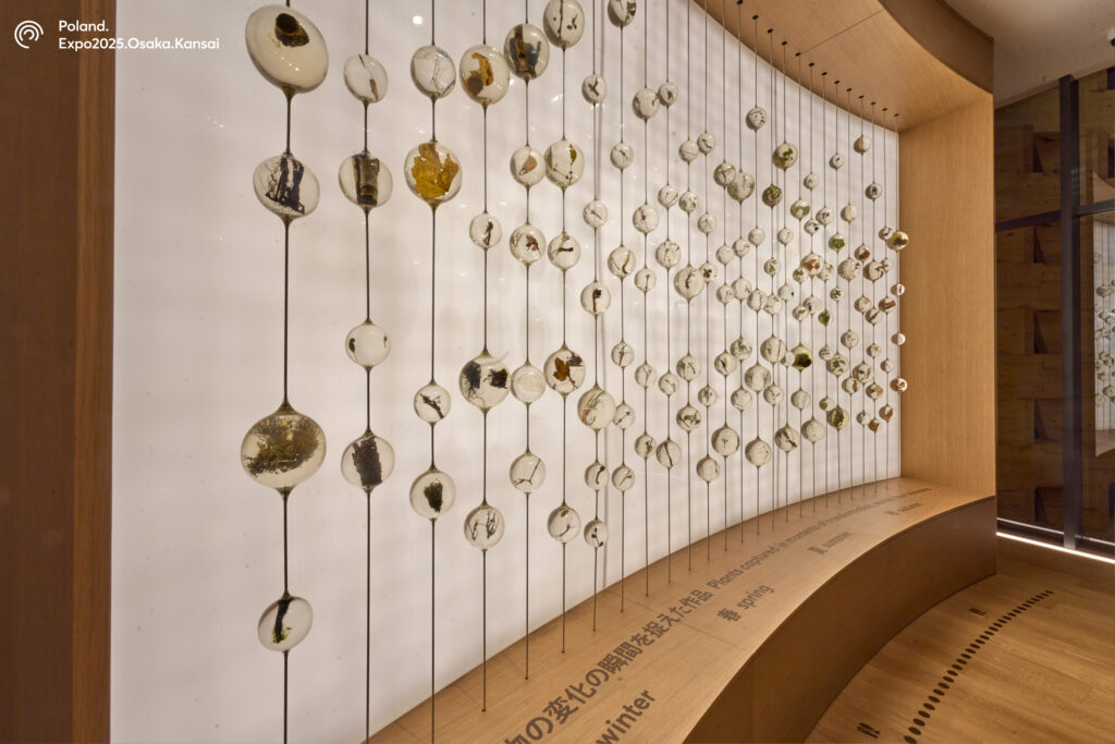 Poland Pavilion Pre Spring
